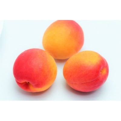 【2026年発送】あんず「ハーコット」生食用 約2kg