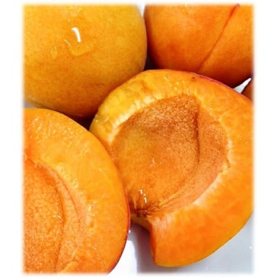 【2026年発送】あんず「ハーコット」生食用 約2kg