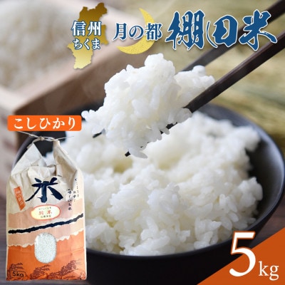 【令和7年産】棚田米 こしひかり 白米 5kg