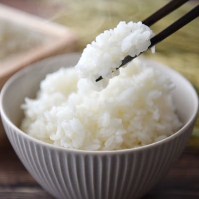 【令和7年産】棚田米 こしひかり 白米 5kg