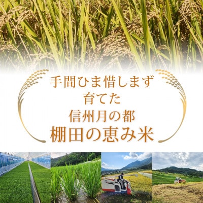 【令和7年産】棚田米 こしひかり 白米 5kg