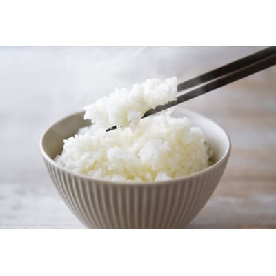 【令和7年産】コシヒカリ 精米 5kg