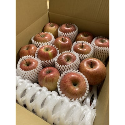 千曲市産【訳あり】サンふじ りんご  約10kg