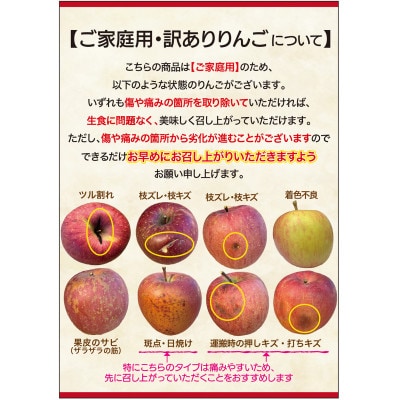 千曲市産【訳あり】サンふじ りんご  約10kg