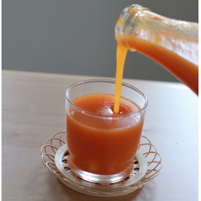 信州 千曲のあんず ネクター ジュース 720ml 3本セット