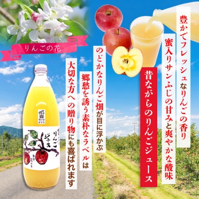 【果汁100%】信州 サンふじ りんごジュース 1L×3本セット