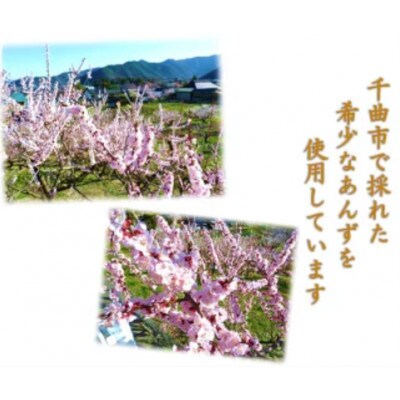 千曲の干し杏 120g×2袋