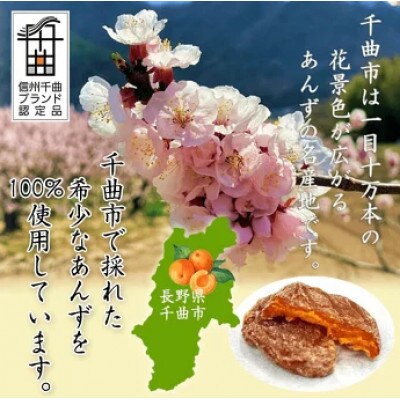 千曲の干し杏 120g×3袋