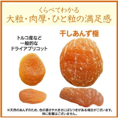 干しあんず 極　165g
