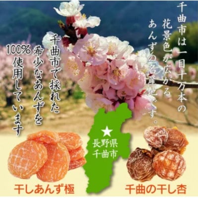 【食べ比べセット】千曲の干し杏 120g　干しあんず極　165g 2袋セット(各1袋)