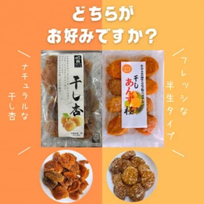 【食べ比べセット】千曲の干し杏 120g　干しあんず極　165g 4袋セット(各2袋)