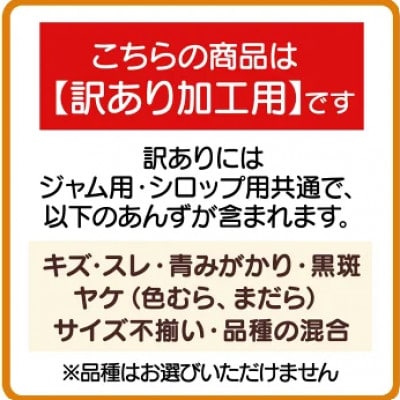 【2026年先行予約】長野県千曲市産 訳あり　加工用　生あんず 約1.5kg