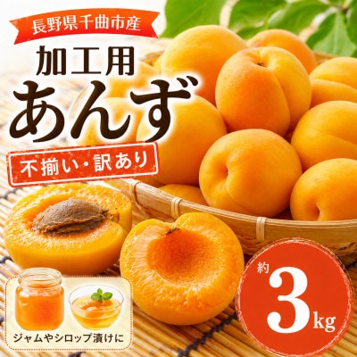 【2026年先行予約】長野県千曲市産 加工用(訳あり)生あんず 約3kg