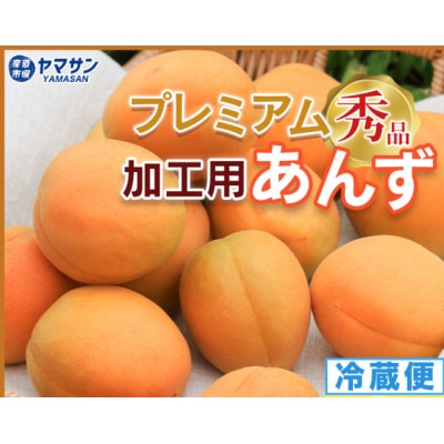 【2027年先行予約】あんず 加工用 秀品 約1kg(500g×2パック)