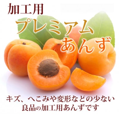 【2027年先行予約】あんず 加工用 秀品 約1kg(500g×2パック)