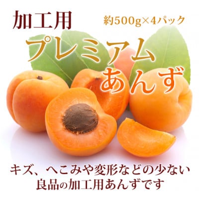 【2027年先行予約】あんず 加工用 秀品 約2kg(500g×4パック)