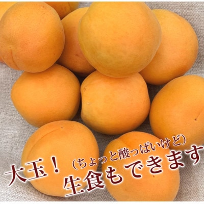 【2027年先行予約】あんず 加工用 秀品 約2kg(500g×4パック)
