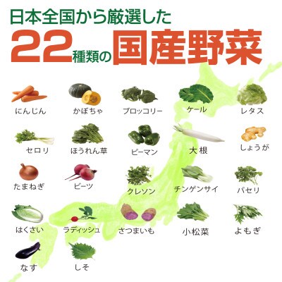 【30缶】ミリオンの国産緑黄色野菜ジュース160g×30缶