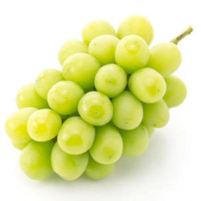 【2026年発送】シャインマスカット 約1kg　(1～2房)