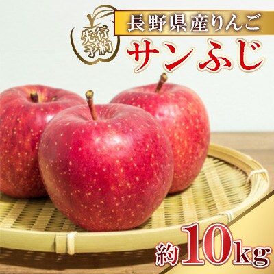 【2025年先行予約】訳あり　りんご サンふじ 約10kg　長野県産