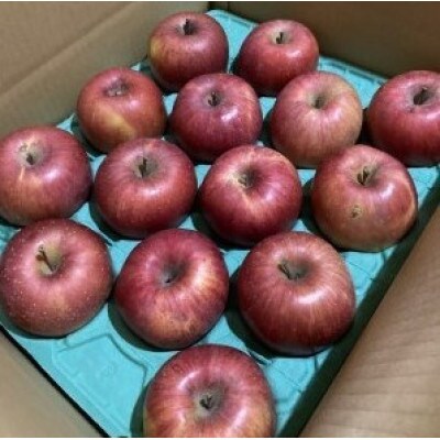 【2025年先行予約】訳あり　りんご サンふじ 約10kg　長野県産