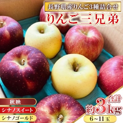りんご3種詰め合わせ りんご三兄弟(秋映・シナノスイート・シナノゴールド)合計約3kg