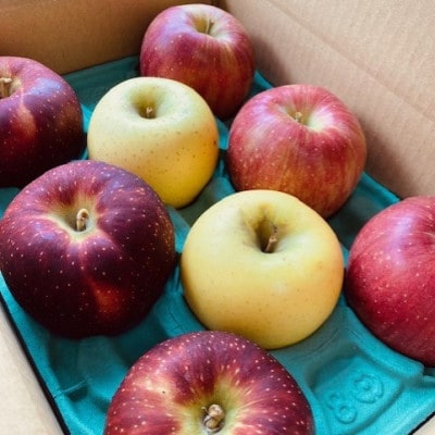 りんご3種詰め合わせ りんご三兄弟(秋映・シナノスイート・シナノゴールド)合計約3kg