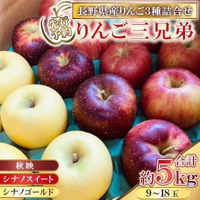 【2026年先行予約】りんご3種 りんご三兄弟(秋映・シナノスイート・シナノゴールド)合計約5kg