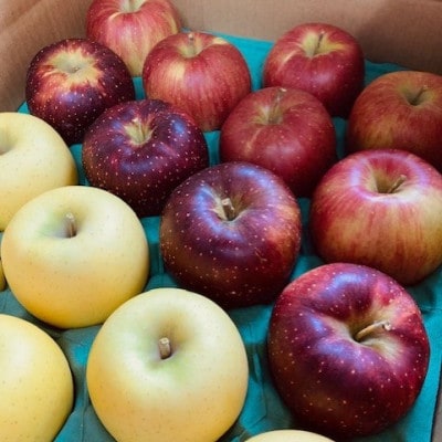 【2026年先行予約】りんご3種 りんご三兄弟(秋映・シナノスイート・シナノゴールド)合計約5kg