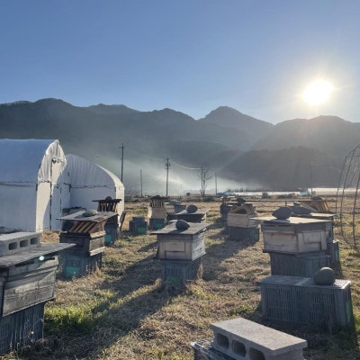 【極上四季の純粋生蜂蜜】ずくなし農園　薬剤不使用・砂糖無給餌・非加熱・花粉無濾過 230g×3種類