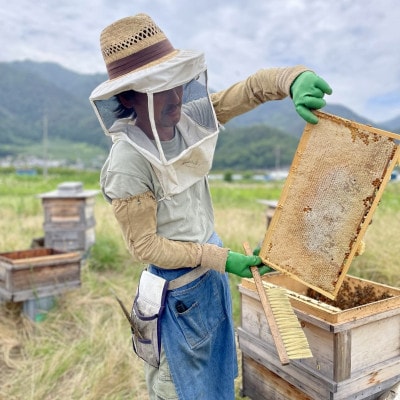 【極上四季の純粋生蜂蜜】ずくなし農園　薬剤不使用・砂糖無給餌・非加熱・花粉無濾過 230g×3種類