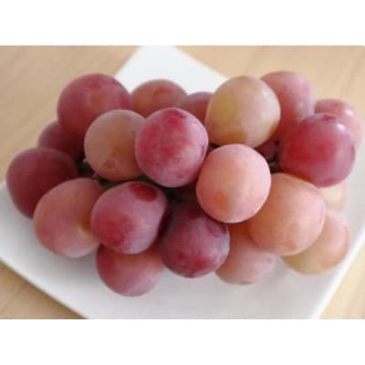 【2026年発送】クイーンルージュ(R) 約700g(1房)