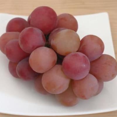 【2026年発送】クイーンルージュ(R)　約1kg(2房)