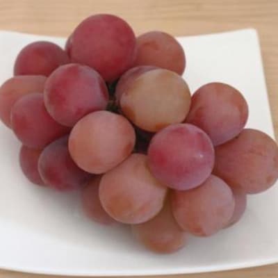 【2026年発送】クイーンルージュ(R) 約1.5kg(3房)
