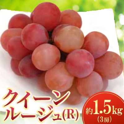 【2026年発送】クイーンルージュ(R) 約1.5kg(3房)