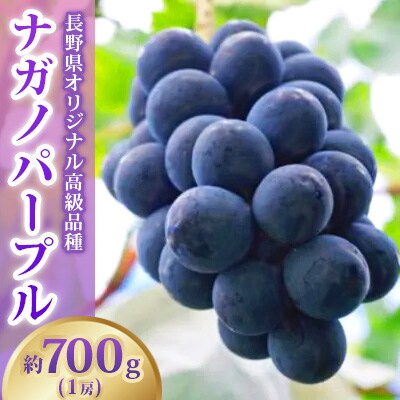 【2026年発送】ナガノパープル 約700g(1房)