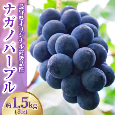 【2026年発送】ナガノパープル 約1.5kg(3房)