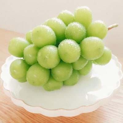 【2026年発送】氷温貯蔵シャインマスカット 約1.5kg(3~4房)