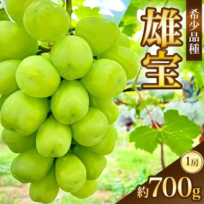 【2026年発送】ぶどう 雄宝　約700g(1房)