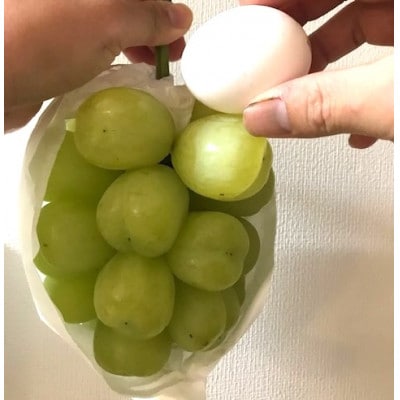 【2026年発送】ぶどう 雄宝 約2kg(3房)