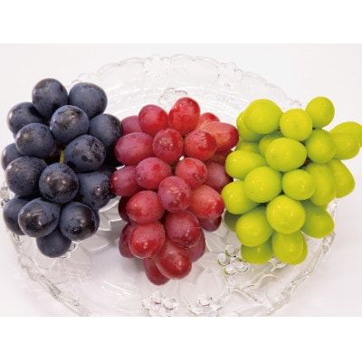 ぶどう 3色セット(シャインマスカット/ナガノパープル/クイーンルージュ(R)) 約1.5kg