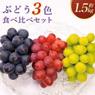 ぶどう　3色セット(シャインマスカット/ナガノパープル/クイーンルージュ(R)) 約1.5kg