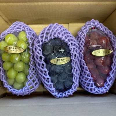 ぶどう　3色セット(シャインマスカット/ナガノパープル/クイーンルージュ(R)) 約1.5kg