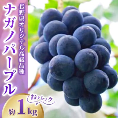 【2026年発送】ぶどう ナガノパープル粒パック 約1kg