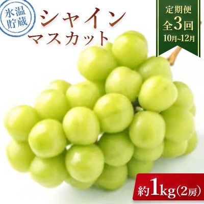 【発送月固定定期便】氷温貯蔵シャインマスカット 約1kg(2房)全3回