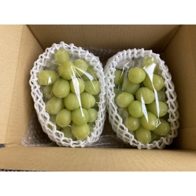 【2026年先行予約】シャインマスカット 約1kg(2房～3房)