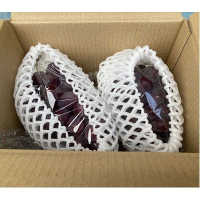 【2026年先行予約】クイーンルージュ(R)　約1kg(2～3房)