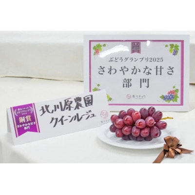 【2026年先行予約】クイーンルージュ(R)　約1kg(2～3房)