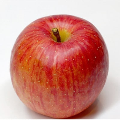 【2026年先行予約】りんご サンふじ 約3kg