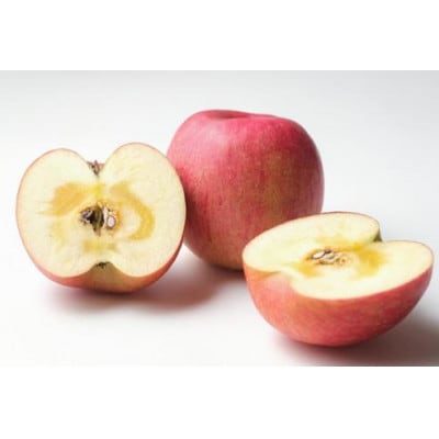 【2026年先行予約】りんご サンふじ 家庭用 約10kg